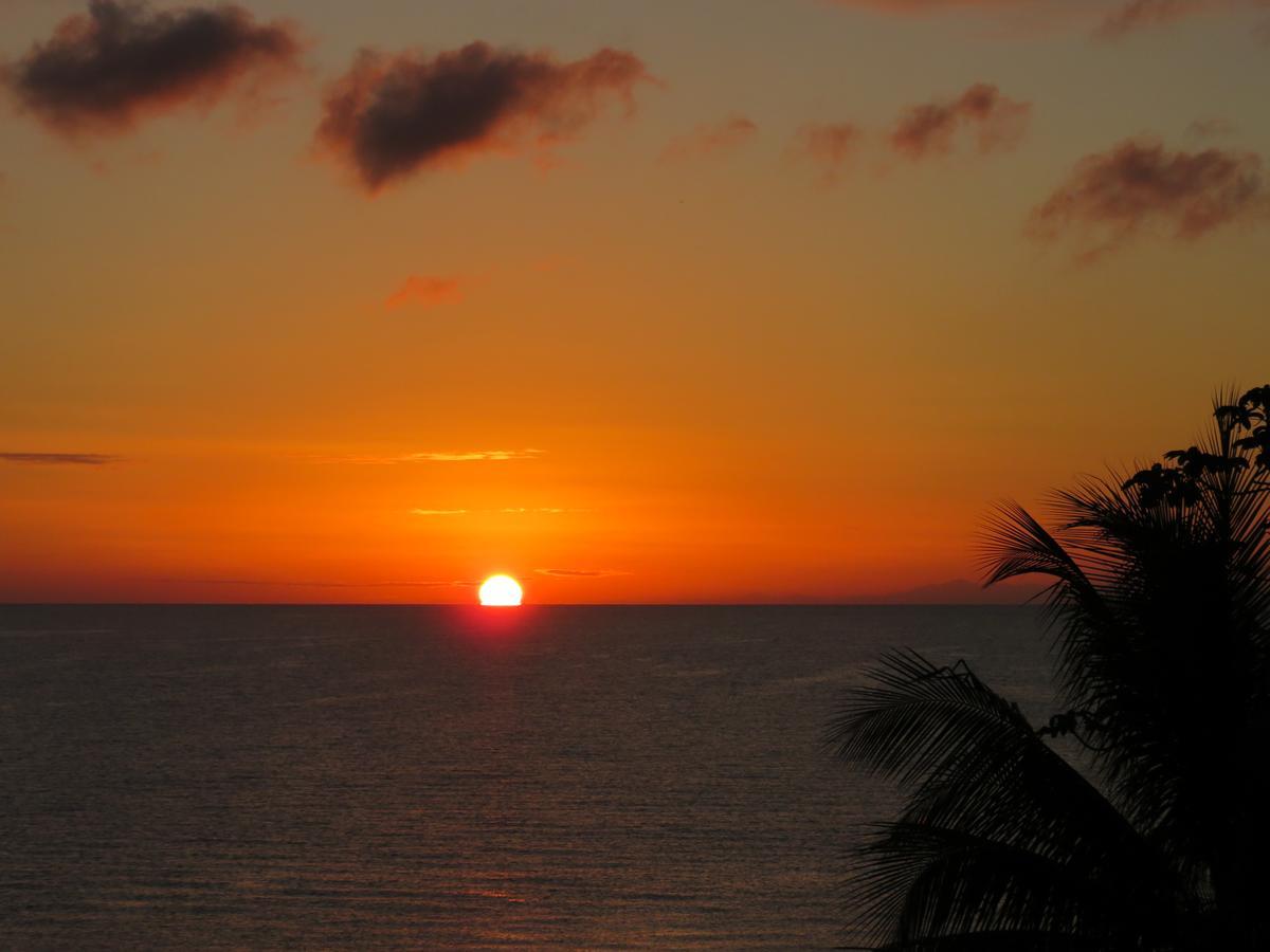 Coral House Bed & Breakfast Punta Gorda Dış mekan fotoğraf