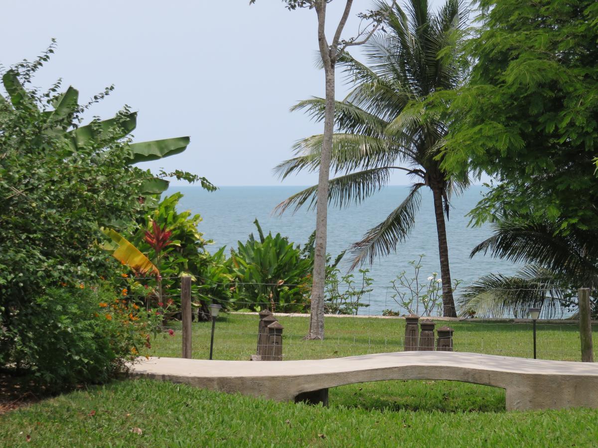 Coral House Bed & Breakfast Punta Gorda Dış mekan fotoğraf